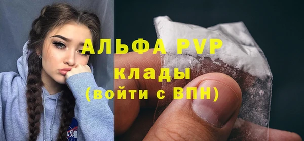 ПСИЛОЦИБИНОВЫЕ ГРИБЫ Каменногорск